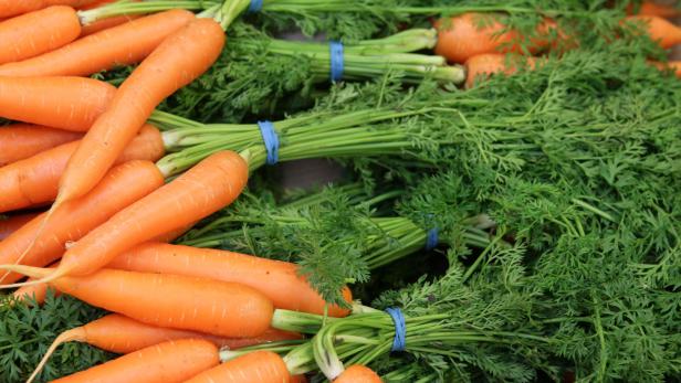 Mehrere Bündel frischer Karotten mit Grünzeug liegen nebeneinander.
