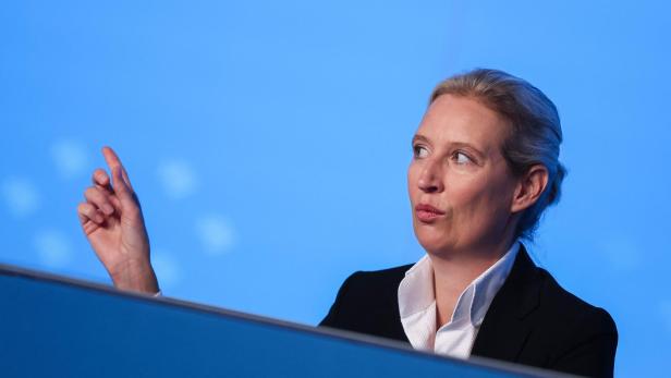 GERMANY-POLITICS-EU-PARTIES-FAR-RIGHT-AFD-politics-parties