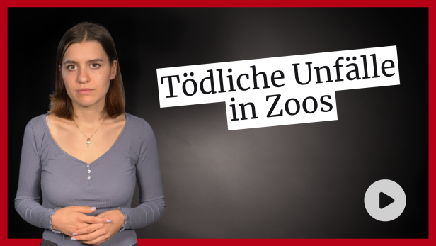 Tödlicher Unfall in Salzburger Zoo nicht der erste Vorfall