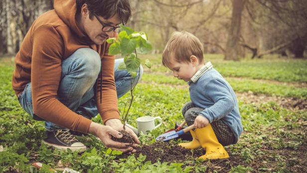 Herbstzeit: Wie man den Garten jetzt neu gestalten sollte
