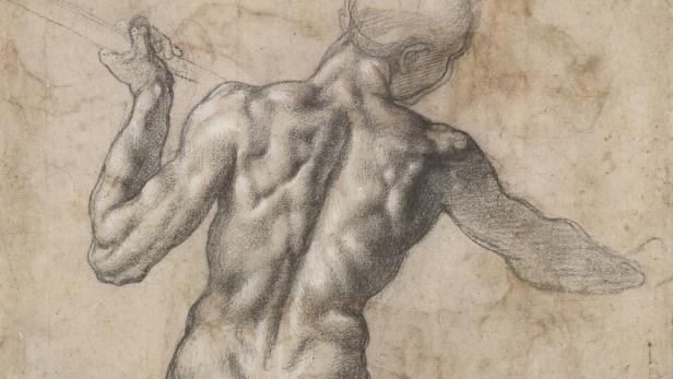 Bodybuilding mit dem Zeichenstift: "Michelangelo und die Folgen"