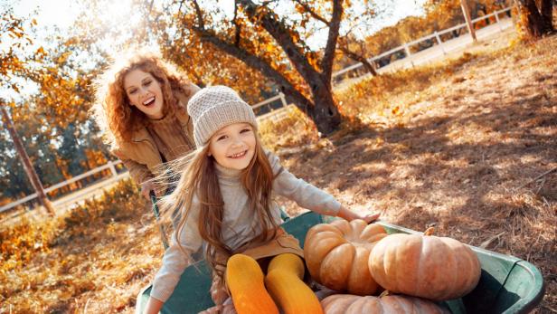 Mother ride her daughter on wheelbarrow with pumpkins