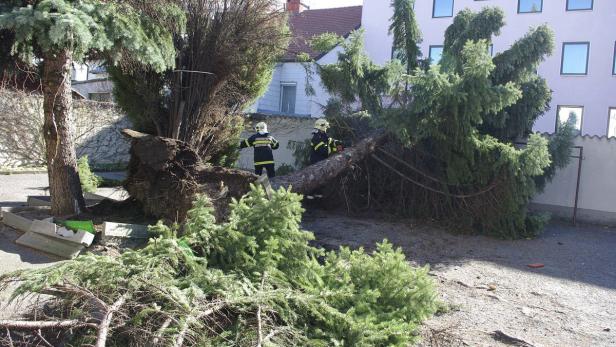 Zwei Feuerwehrleute beseitigen einen umgestürzten Baum mit einer Kettensäge.