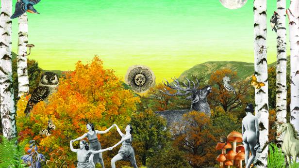 Der Wald als Ort der Magie, des Bösen oder der Entspannung