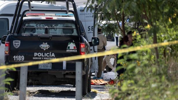 Mexiko: Zwölf zerstückelte Leichen gefunden