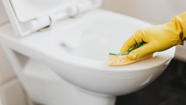 Wie oft WC putzen? So selten wird laut Umfrage das Klo gereinigt