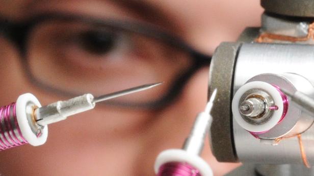 Wissenschaft auf cool beim SciBarCamp
