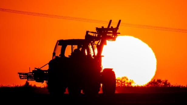 Urteil: Kärntner Bauern dürfen Siloballen nicht auf Feldern lagern