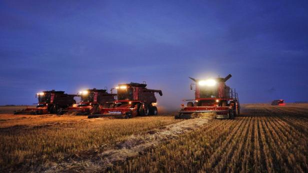 Combine harvesters harvest wheat on the Stephen and Brian Vandervalk farm near Fort MacLeod, Alberta in this file photo taken September 26, 2011. Canada&#039;s record canola and wheat harvests have clogged its rail arteries and overwhelmed its ports, sticking Glencore and other grain handlers with millions of dollars in shipping penalties and leaving farmers&#039; bins flush with crops worth less by the day. To match Insight CROPS-CANADA/BACKLOG REUTERS/Todd Korol/Files (CANADA - Tags: AGRICULTURE FOOD BUSINESS COMMODITIES)