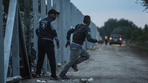 Migranten an der ungarisch-serbischen Grenze.