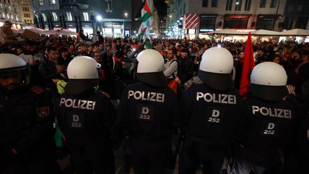 Kritik an illegaler Pro-Palästina-Demo in Wien: Experte verteidigt Polizei