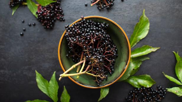 Beeren schwarzer Hollunder in Schale