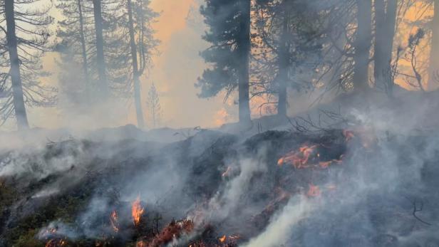 Waldbrand im Ennstal: Löscharbeiten "äußerst schwierig"