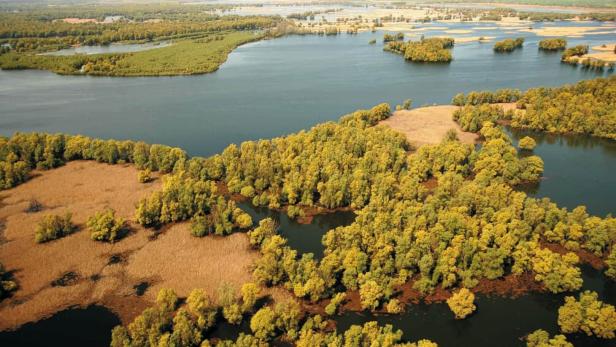 Europäisches Großprojekt: Entlang von Mur, Drau und Donau wird renaturiert