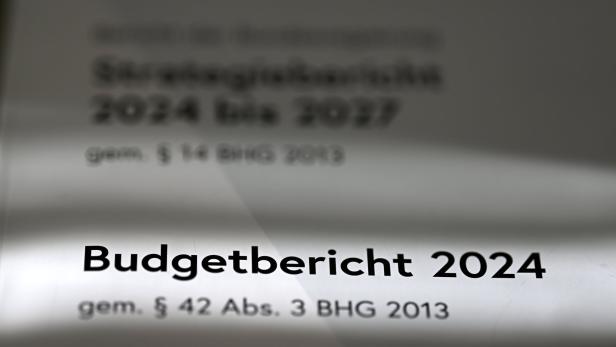 Experten kritisieren Budget: Hohe Ausgaben, kaum Strukturreformen