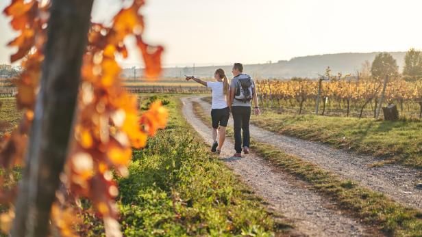 Freizeittipps für den Nationalfeiertag im Burgenland