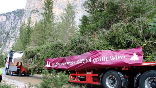 Christbaum auf Lkw