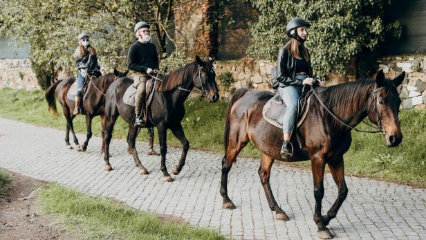 Die schönsten Hotels für einen Reiturlaub in Österreich