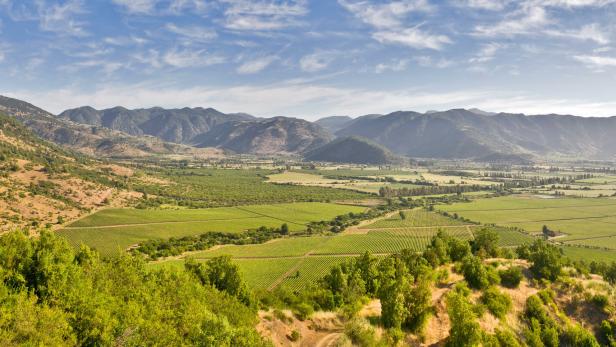 Warum Wein ein guter Grund ist, nach Chile zu reisen