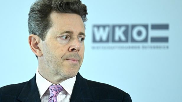 Ein Mann im Anzug blickt vor dem Hintergrund des WKO-Logos nach rechts.