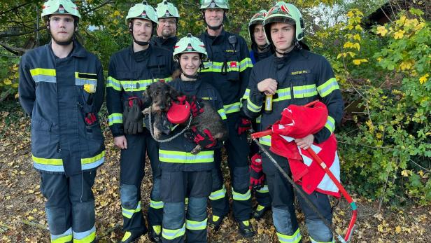 Feuerwehr rettet Hund aus Schacht in Mödlinger Brandruine