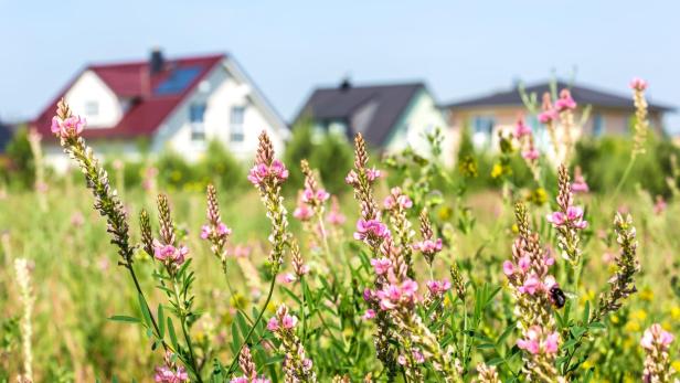 Residential Homes with garden