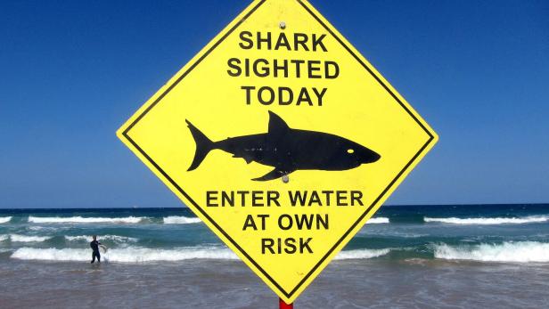 Tödlicher Haiangriff in Australien: Polizei sucht Leiche von Surfer