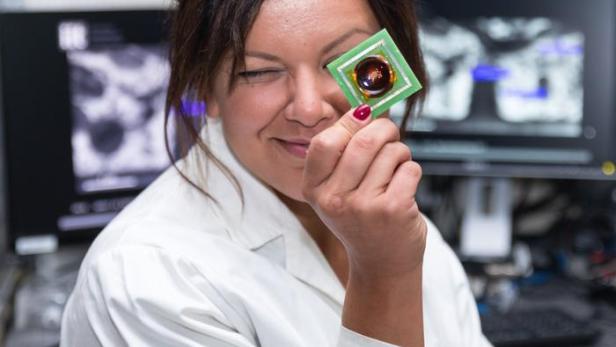 Forscherin Francesca Santoro mit ihrem neuen Retina-Bioch.