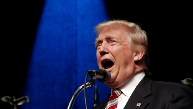 Donald Trump spricht bei einer Veranstaltung ins Mikrofon.
