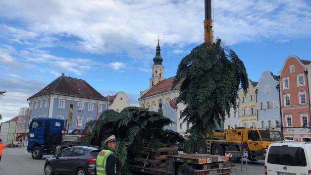 Schärding Christbaum