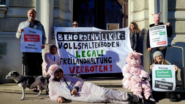 Tierschützer kämpfen für Weideschweine-Zucht in St. Pölten