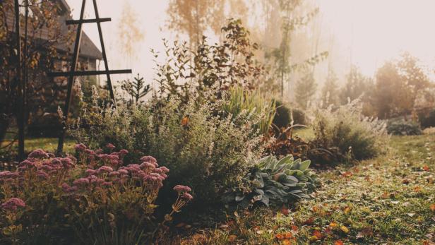 Vor der großen Kälte: Diese Gartenarbeiten fallen im Spätherbst an