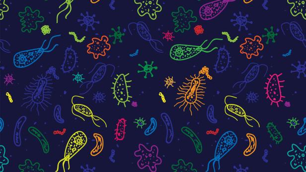 Psyche bis Verdauung: "Das Mikrobiom ist an jeder Erkrankung beteiligt"