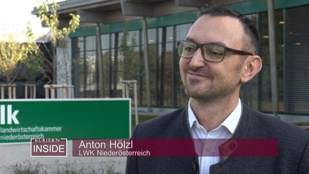 Anton Hölzl, Landwirtschaftskammer Niederösterreich