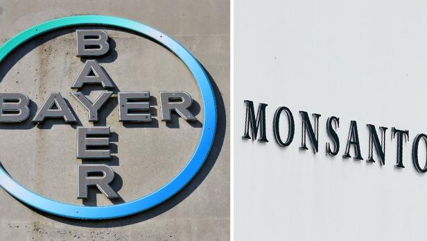 Bayer kauft Monsanto.