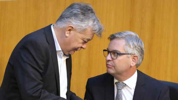 Verhandler für die Republik: Vizekanzler Kogler und Finanzminister Brunner