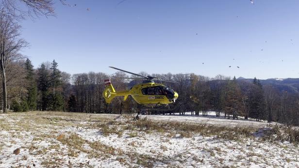 Trauer in NÖ: 53-Jähriger starb bei Forstunfall