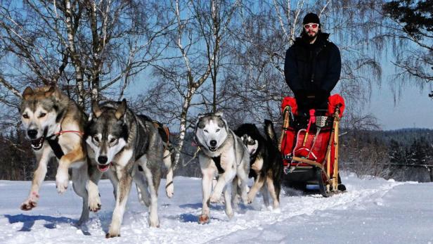 Spaß am Laufen: Zu Besuch am Huskyhof Waldviertel
