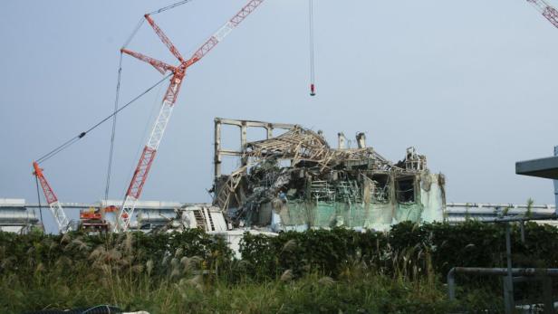 Fukushima: Neue Kernspaltung droht