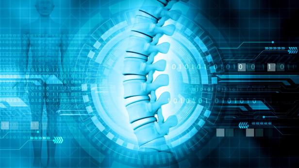 Human spinal cord on modern technology background Human spinal cord on modern technology background
