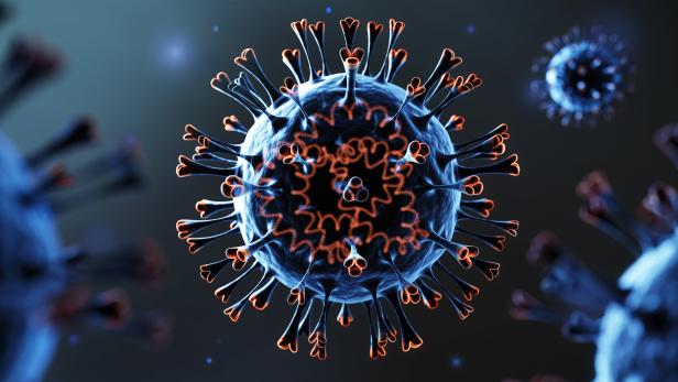 Das Coronavirus dominiert das Infektionsgeschehen, gefolgt von den Schnupfenviren.