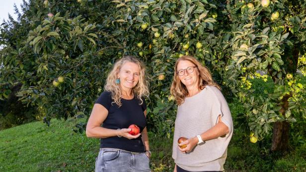 Streuobstgärten als Gen-Schatzkiste des Obsts: Wieder drei neue Sorten entdeckt