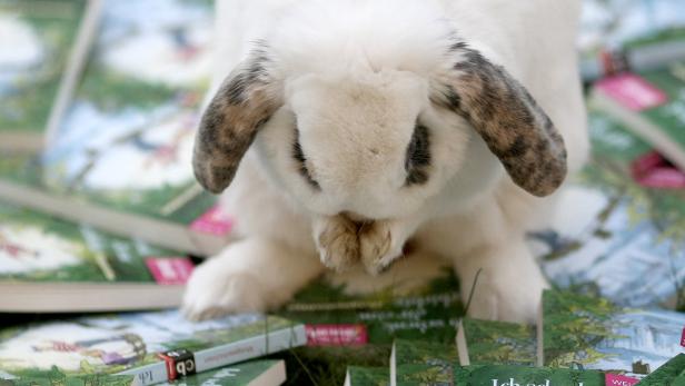 Ein weißes Kaninchen sitzt auf einem Stapel von Büchern.