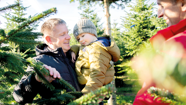 Christbaumsaison 2024: Auf die Herkunft kommt es an