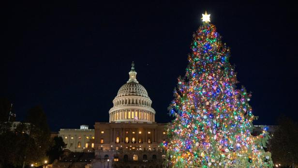 Symbolbild: Nationaler Christbaum leuchtet in Washington
