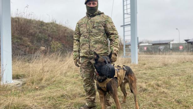 NÖ: Soldat von Hunden getötet - Jagdkommando hat neuen Luxus-Zwinger