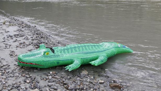 Krokodil in Kärnten: Suche wird fortgesetzt