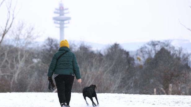 Hundesheriffs im Anmarsch: Im Februar startet das "Wiener Hunde-Team"