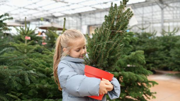 Ein Kind umarmt einen kleinen Weihnachtsbaum im Topf.