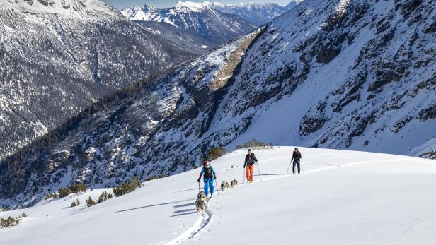 Bergpanorama Skitour mit Huskys im Lechtal bei Sonnenschein im Schnee